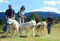 Walking with a husky dog pack at Praboure